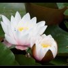 20120530_0060